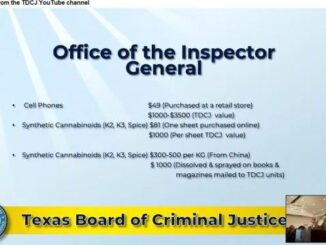 Screen shot from the TDCJ YouTube channel of the April 24, 2025 meeting of the state prison board.