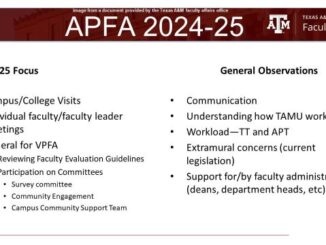 Image from a document provided by the Texas A&M office of faculty affairs.