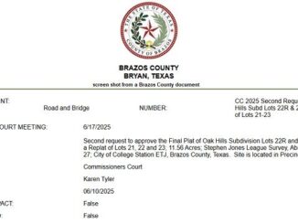Screen shot from a Brazos County document.