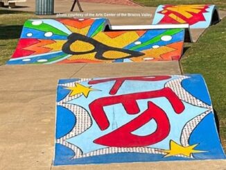 Arts Center of the Brazos Valley photo of murals painted on skateboard ramps at Brian Bachmann Park.