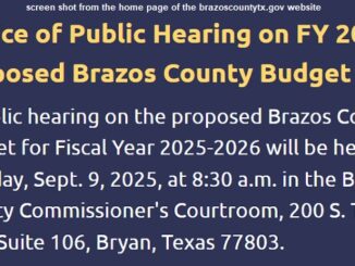 Screen shot from the home page of the brazoscountytx.gov website.