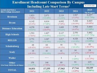 Screen shot from a Blinn College document.