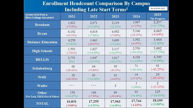 Screen shot from a Blinn College document.