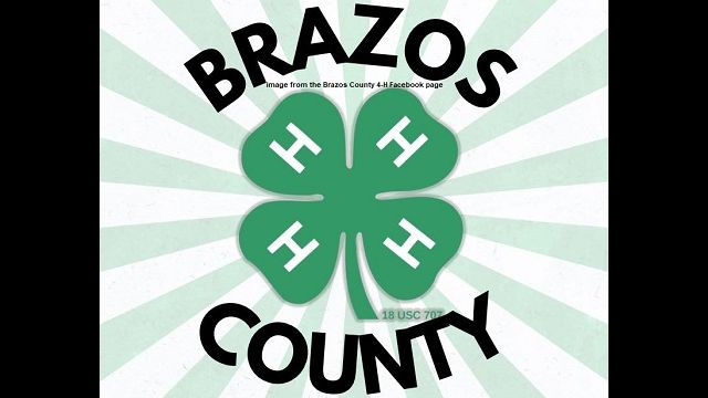 Image from the Brazos County 4-H Facebook page.