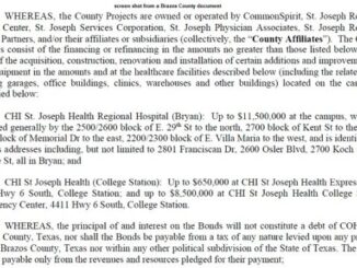 Screen shot from a Brazos County document.