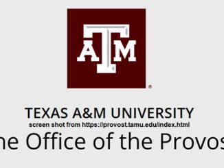 Screen shot from https://provost.tamu.edu/index.html