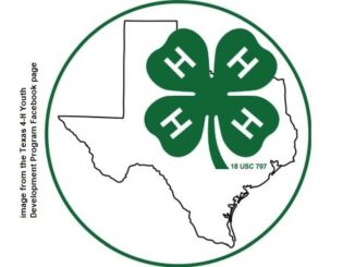 Image from the Facebook page Texas 4-H Youth Development Program.