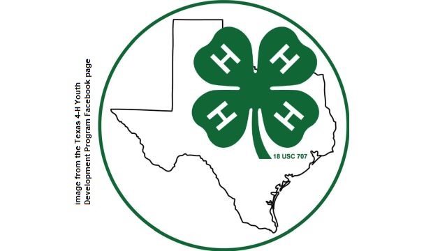 Image from the Facebook page Texas 4-H Youth Development Program.