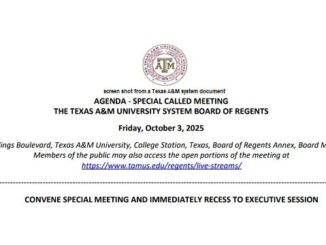 Screen shot from a Texas A&M system document.