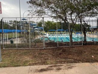 Photo taken October 28, 2025 of the temporary fence at the Bryan Aquatic Center with a fallen crepe myrtle tree behind the fence.