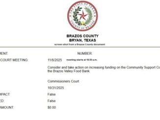 Screen shot from a Brazos County document.