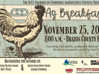 Image from the Bryan/College Station chamber of commerce.
