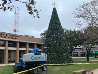 The city of Bryan's new Christmas tree in front of the Clara B. Mounce library, November 19, 2025.