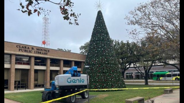 The city of Bryan's new Christmas tree in front of the Clara B. Mounce library, November 19, 2025.
