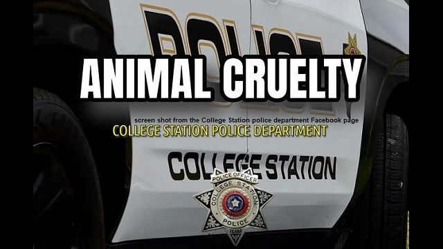 Screen shot from the College Station police department's Facebook page.