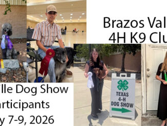 Brazos Valley 4H K9 Club