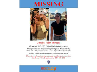 image of Amber Alert poster