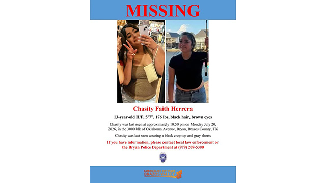 image of Amber Alert poster