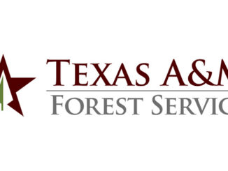 TAMU Forest Service logo