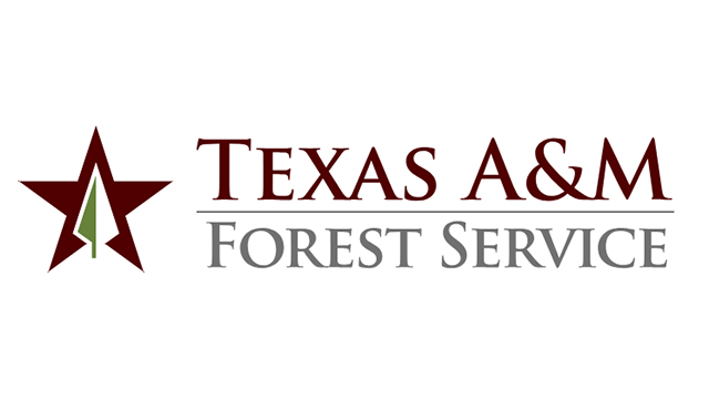 TAMU Forest Service logo