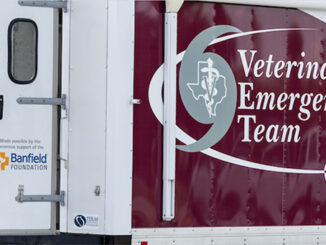 Image of Texas A&M Veterinary Emergency Team (VET)